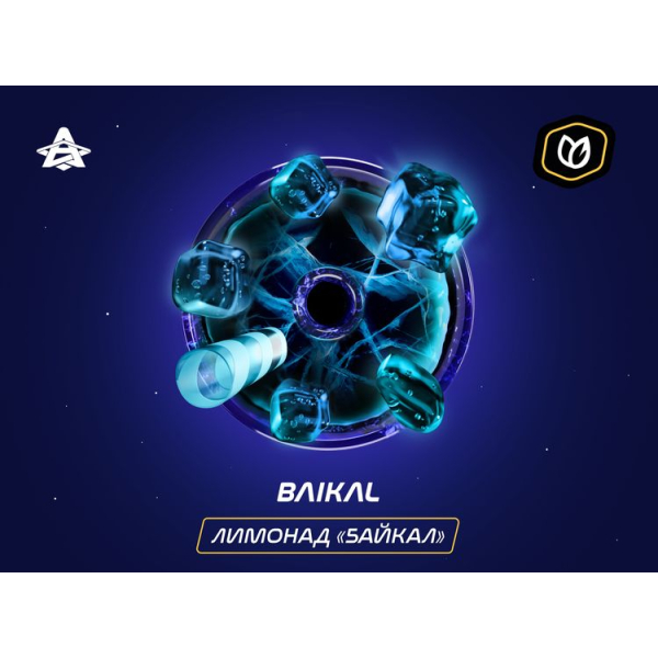 Паста Space Smoke Tobacco Baikal 30 гр в Калининграде