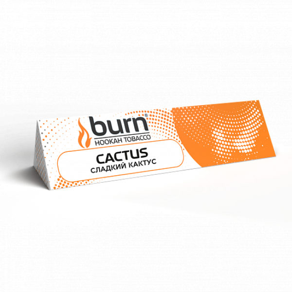 Табак BURN CACTUS 25 грамм в Калининграде