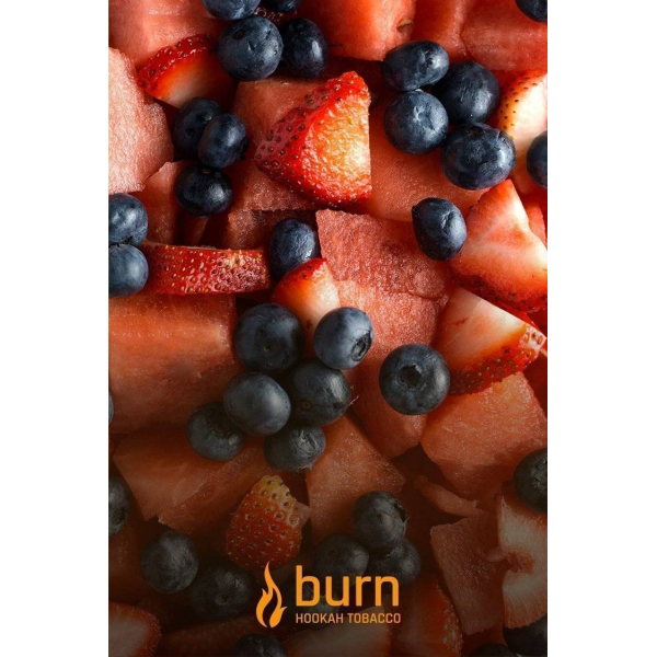 Табак Burn Berried Treasure 100 грамм в Калининграде