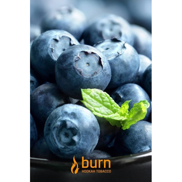 Табак Burn Blueberry Mint 100 грамм в Калининграде