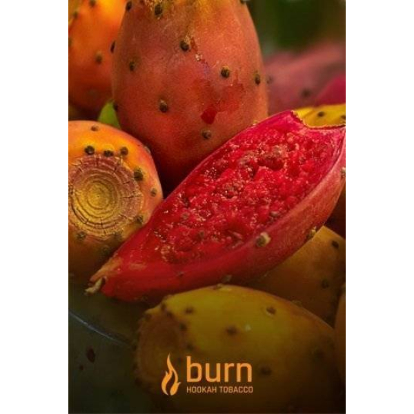 Табак Burn Cactus 100 грамм в Калининграде
