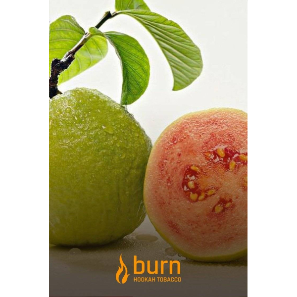 Табак Burn Guava 100 грамм в Калининграде