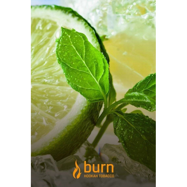 Табак Burn Lemon Mint 100 грамм в Калининграде