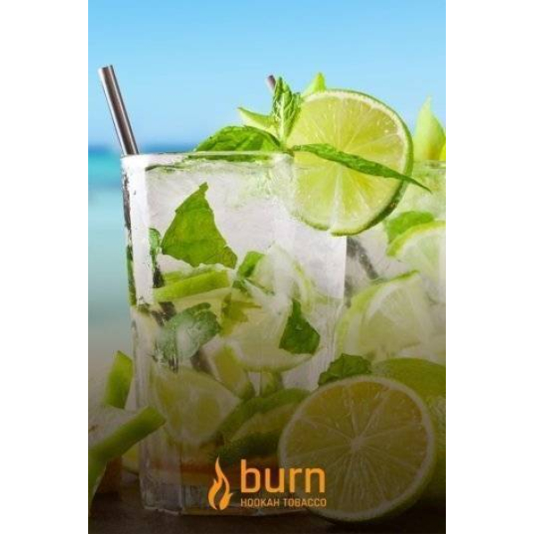 Табак Burn Mojito 100 грамм в Калининграде