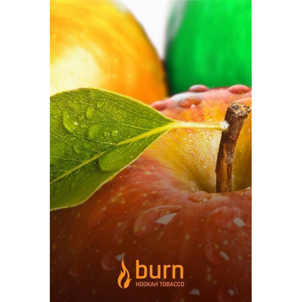 Табак Burn Three Apples 100 грамм в Калининграде