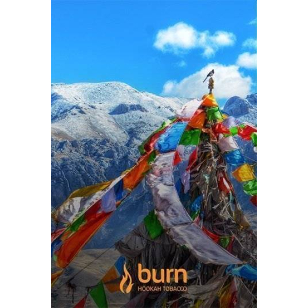 Табак Burn Tibet 100 грамм в Калининграде