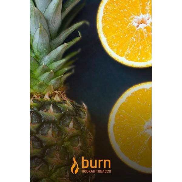 Табак Burn White Night 100 грамм в Калининграде
