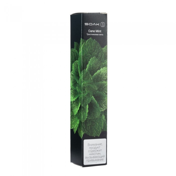 SOAK S Cane Mint (Тростниковая мята), 2500 тяг в Калининграде