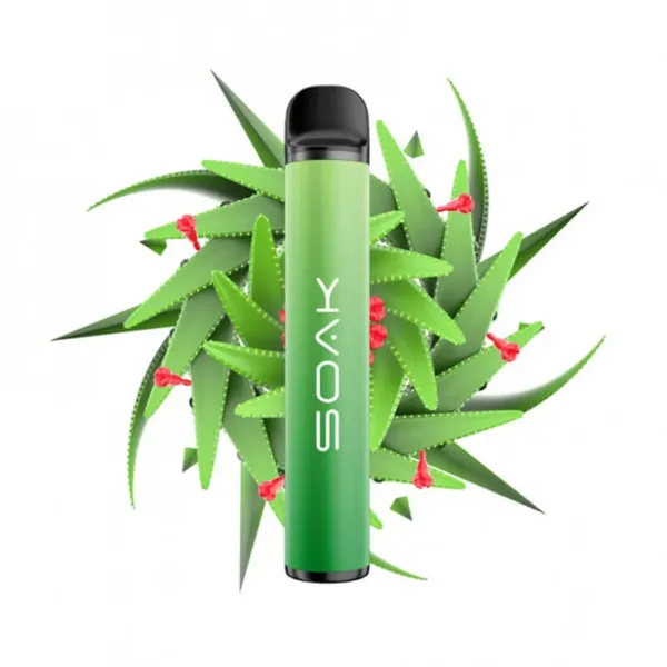 SOAK X Aloe Vera (Алое Вера), 1500 тяг в Калининграде