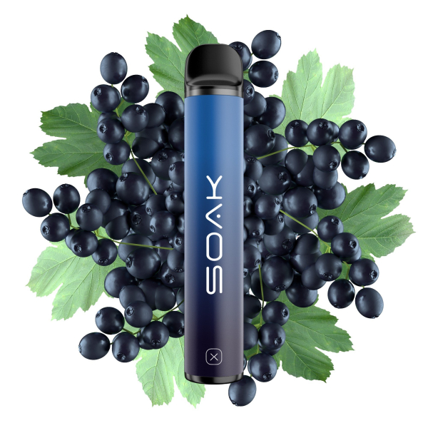SOAK X Forest Blackcurrant (Лесная черная смородина), 1500 тяг в Калининграде