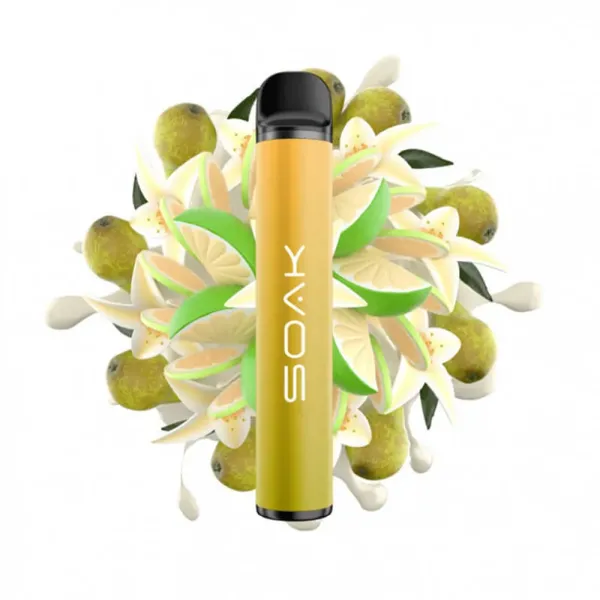 SOAK X Vanilla Pear (Ванильная груша с лаймом), 1500 тяг в Калининграде