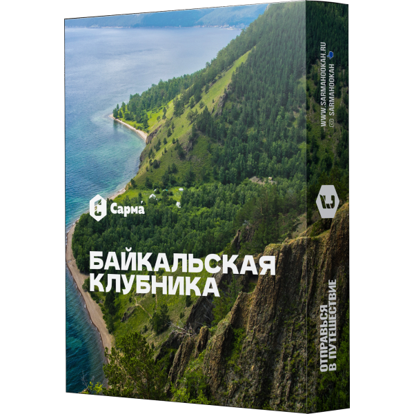 Табак Сарма Байкальская Клубника 25 гр в Калининграде