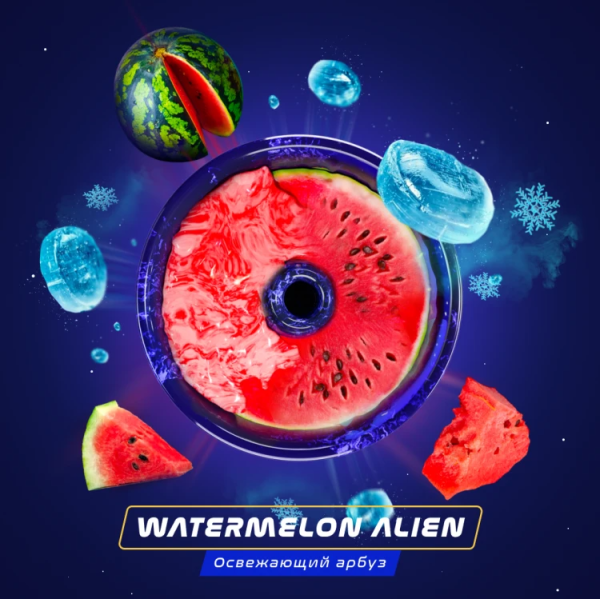 Паста Space Smoke ZERO Watermelon  Alien (Арбуз с  холодком) 30 гр в Калининграде