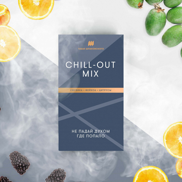 Табак Шпаковского Chill Out (Ежевика Фейхоа Цитрусы) 40 грамм в Калининграде